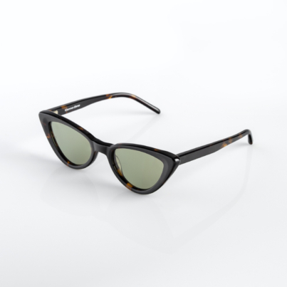 CS009-Trt-2-1