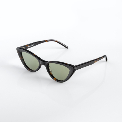 CS009-Trt-2-1