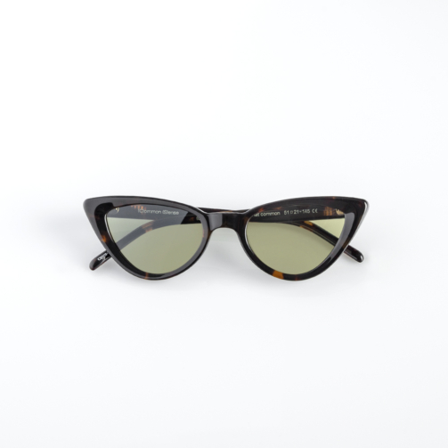 CS009-Trt-2