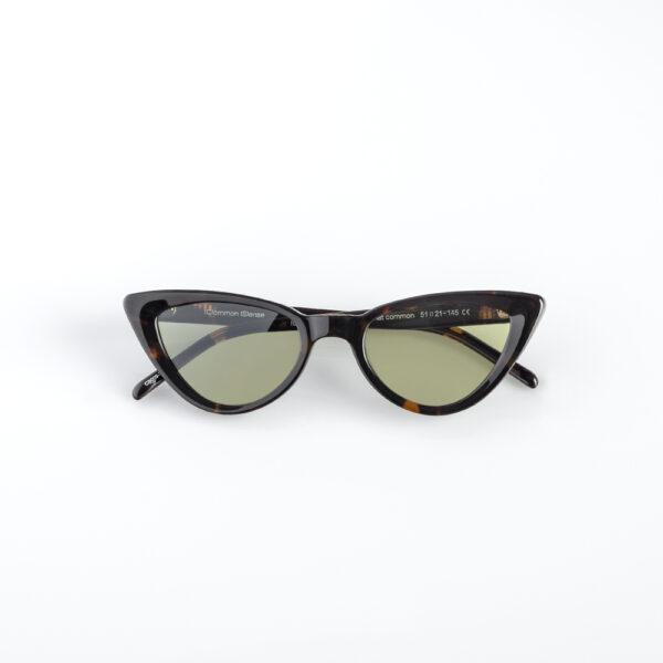 COMMON SENSE 009 TORT G15