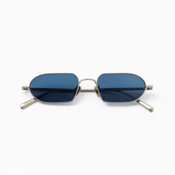 COMMON SENSE 015 SILVER & DARK BLUE