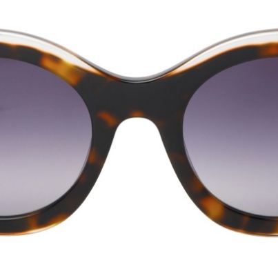 CELESTE_C3_BROWN TORTOISE_b-1000x400