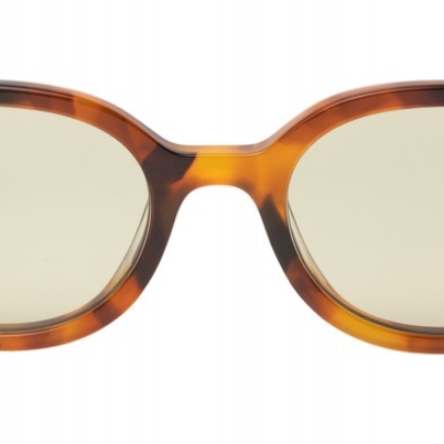 AMY_C3a_BROWN TORTOISE-1000x400