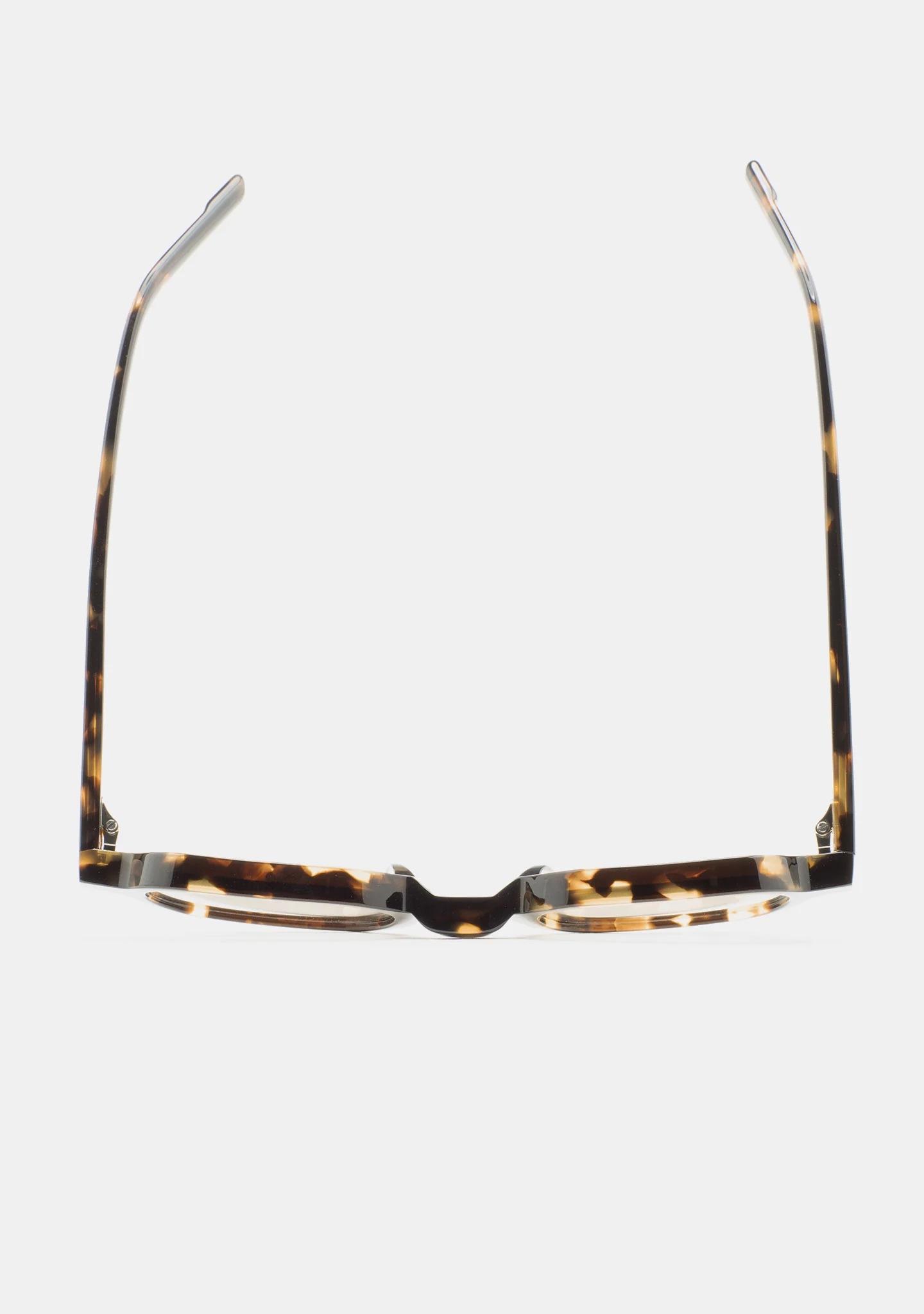 KALEOS - CASTILLO - DARK HAVANA PHOTOCHROMIC C2 - Image 3