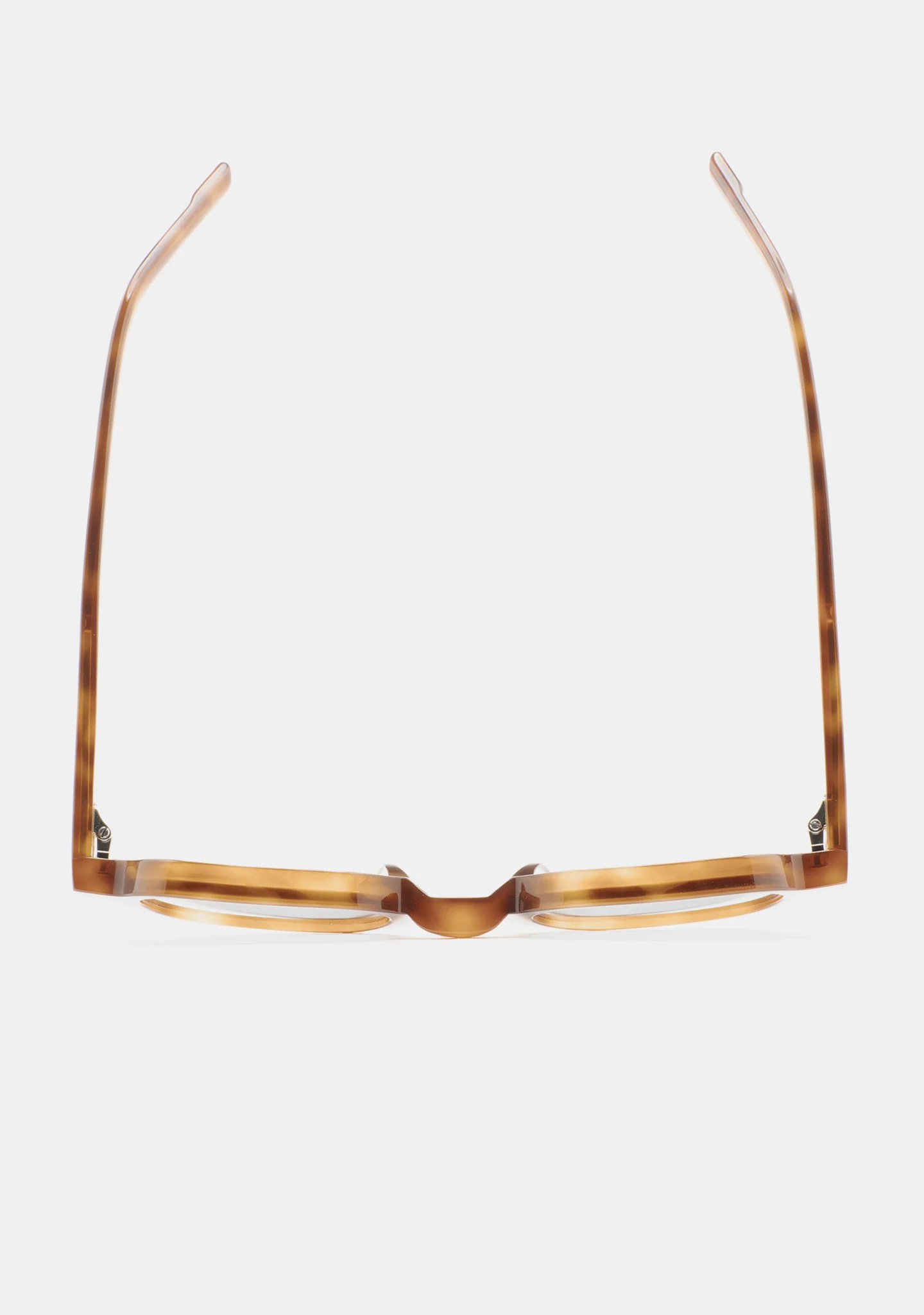 KALEOS - CASTILLO - AMBER HAVANA PHOTOCHROMIC C4 - Image 3