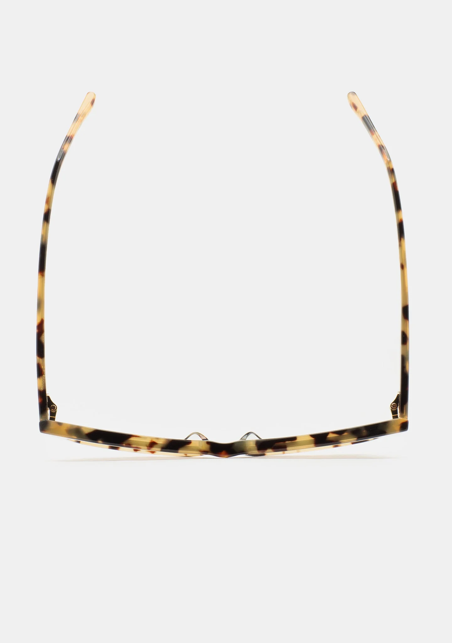 KALEOS - GRECO - SPOTTED HAVANA PHOTOCHROMIC C2 - Image 3